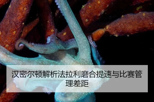 han-mi-er-dun-jie-xi-fa-la-li-mo-he-ti-su-yu-bi-sai-guan-li-cha-ju-2-392.jpg